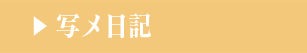 写メ日記